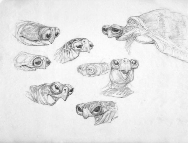 Le Monde de Nemo - Photos et affiches. 51 Concept art de Le Monde de Nemo Finding 2003