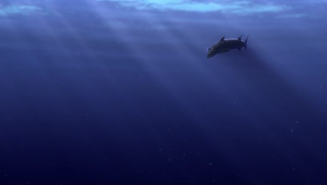 Le barracuda - Personnage - Le monde de Nemo. 2 barracuda personnage character monde nemo finding dory disney pixar