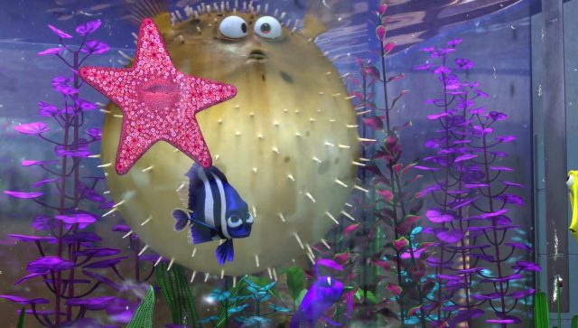 Boule - Personnage - Le monde de Nemo. 3 boule bloat personnage character monde nemo finding dory disney pixar