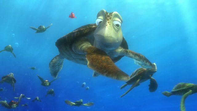 Crush - Personnage - Le monde de Nemo. 4 crush personnage character monde nemo finding dory disney pixar