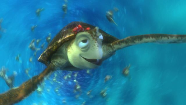 Crush - Personnage - Le monde de Nemo. 6 crush personnage character monde nemo finding dory disney pixar