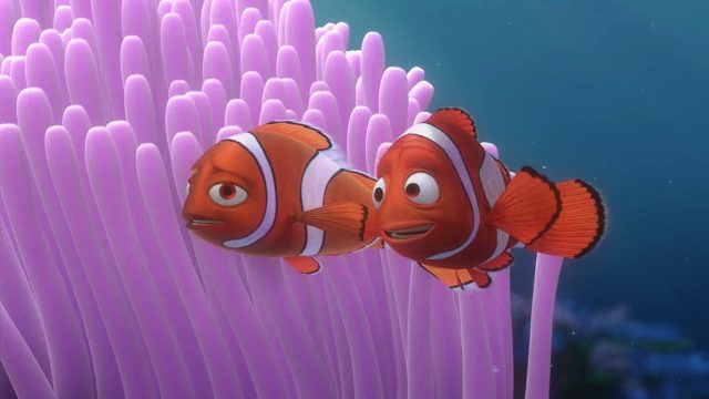 Le Monde de Nemo - Photos et affiches. 36 Scène de Le Monde de Nemo Finding Pixar 2003