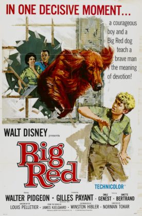 Compagnon d'aventure - Streaming. 31 walt disney company walt disney pictures affiche compagnon aventure poster big red