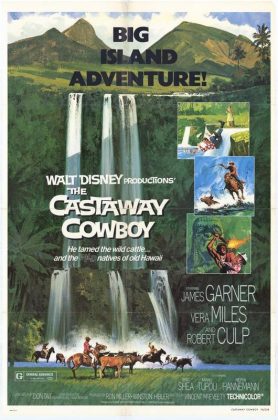 walt disney company walt disney pictures affiche cowboy hawai poster castaway cowboy