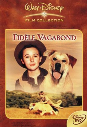 walt disney company walt disney pictures affiche fidele vagabond poster old yeller