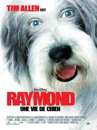 walt disney company walt disney pictures affiche raymond vie chien poster shaggy dog