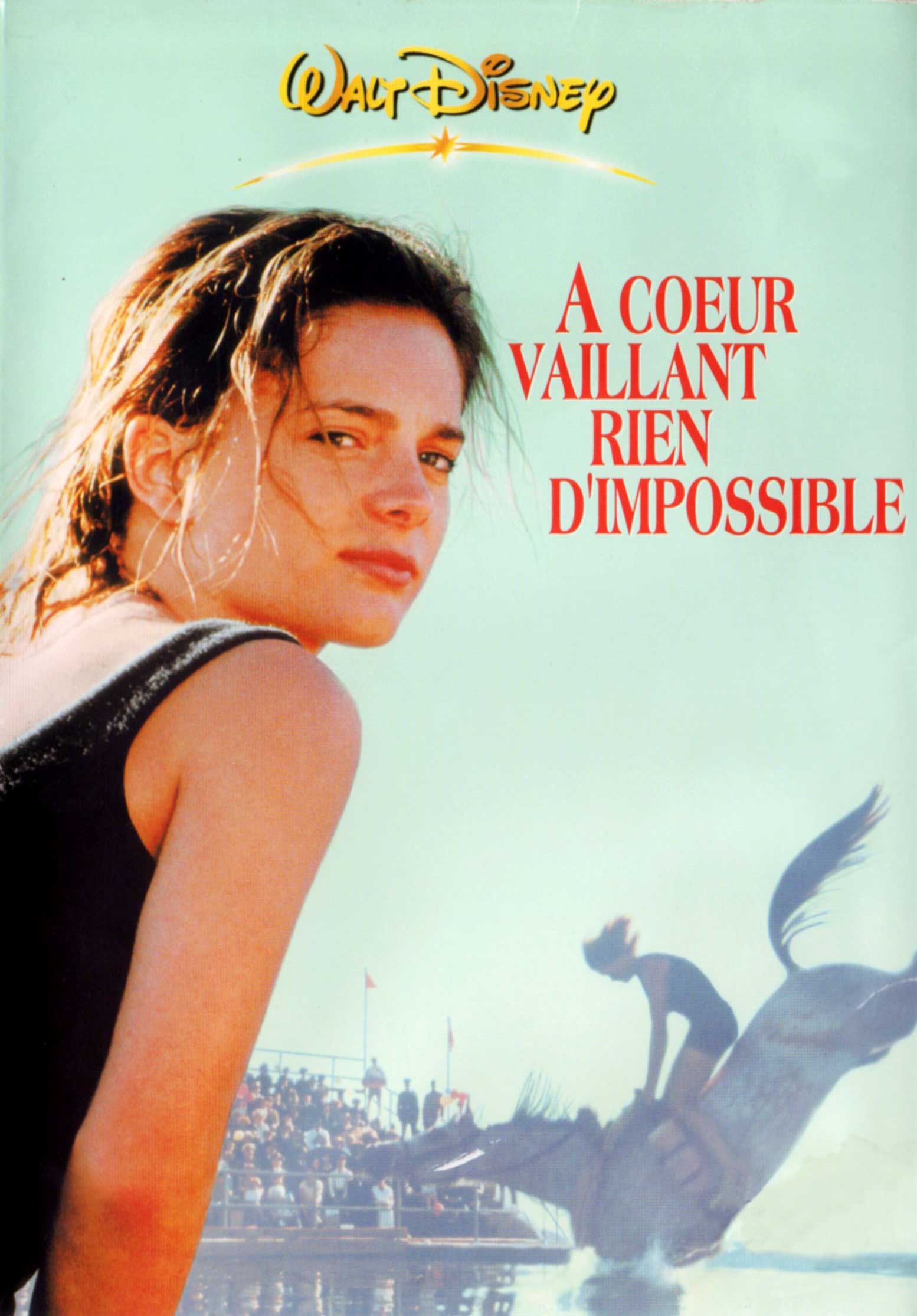 Affiche Poster coeur vaillant rien impossible Wild hearts broken disney