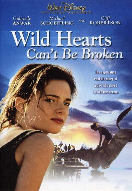 Affiche Poster coeur vaillant rien impossible Wild hearts broken disney