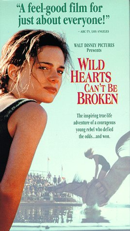Affiche Poster coeur vaillant rien impossible Wild hearts broken disney