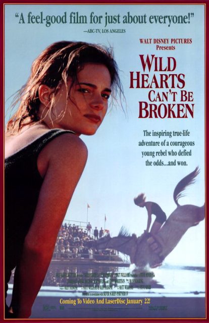 Affiche Poster coeur vaillant rien impossible Wild hearts broken disney