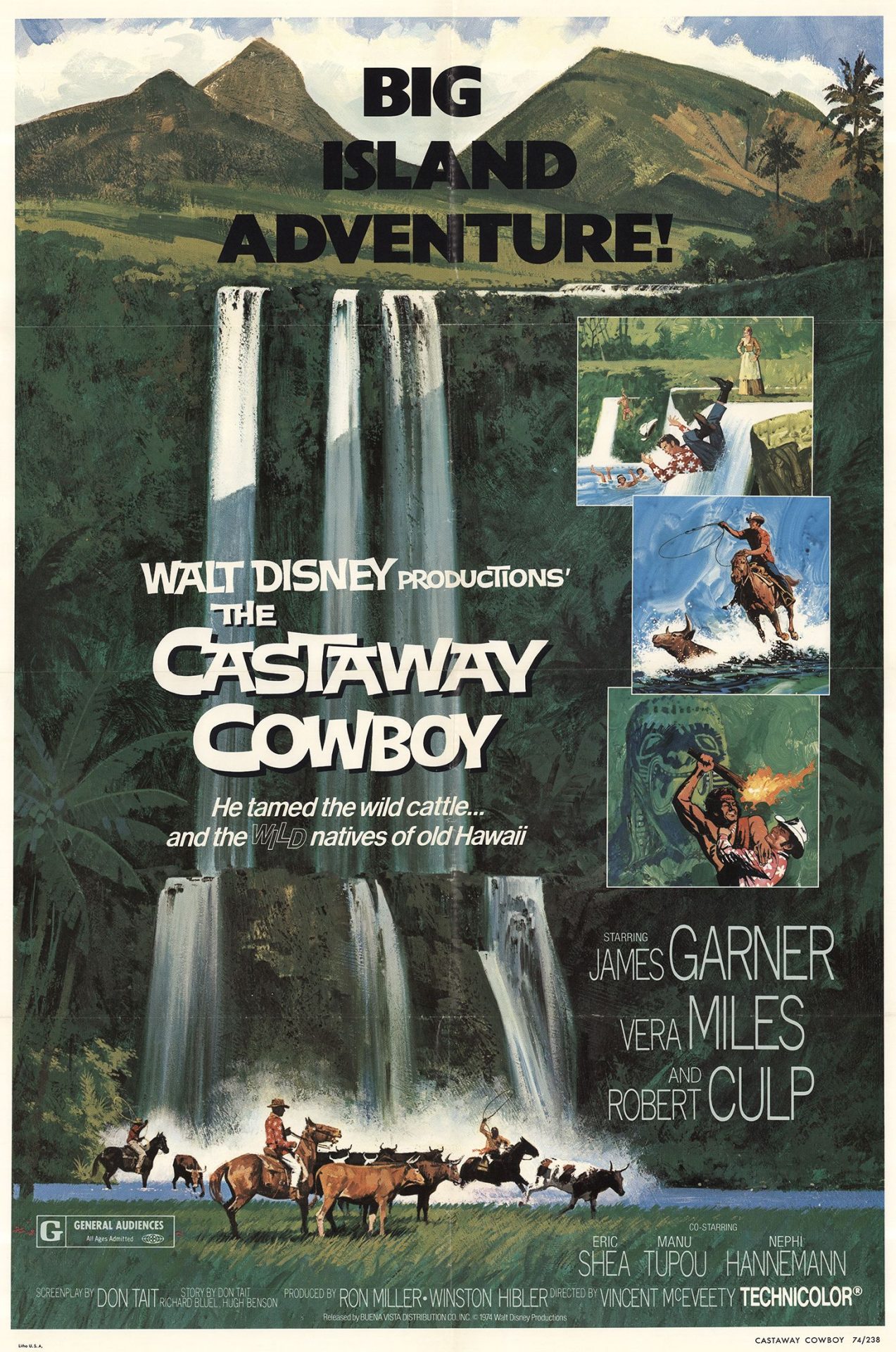 Un cowboy à Hawaï - Photos et affiches. 1 Affiche Poster cowboy hawai castaway disney