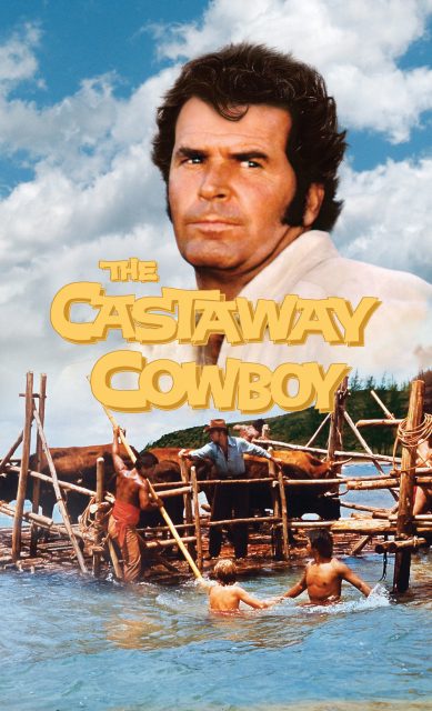 Un cowboy à Hawaï - Photos et affiches. 2 Affiche Poster cowboy hawai castaway disney