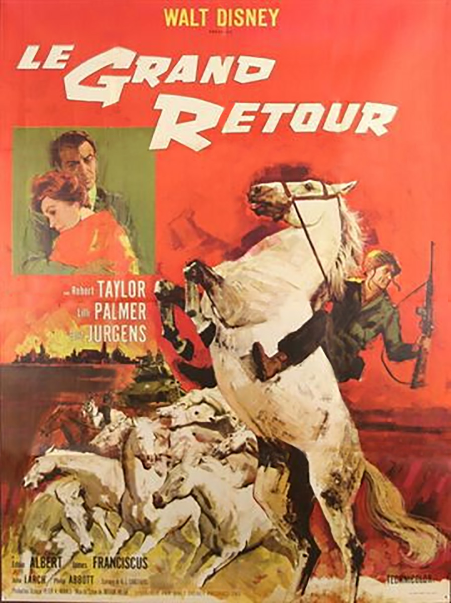 Affiche poster grand retour Miracle White Stallions disney