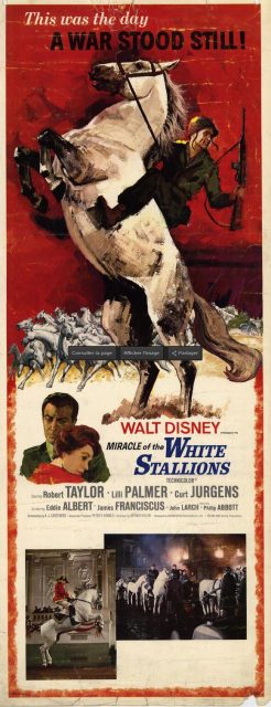 Affiche poster grand retour Miracle White Stallions disney