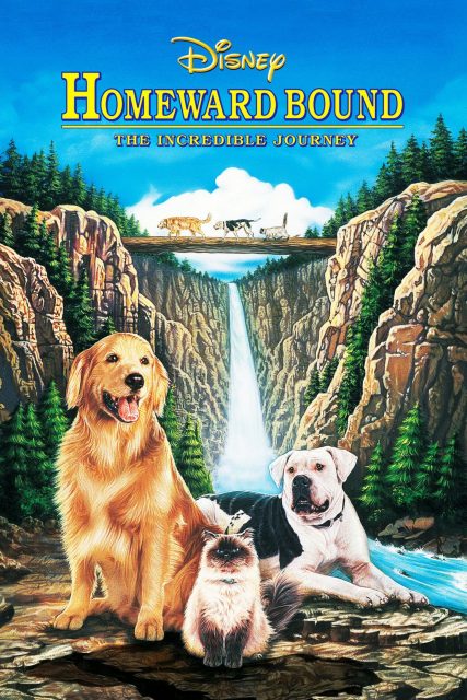 Affiche Poster incroyable voyage homeward bound incredible journey disney