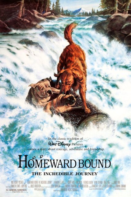 Affiche Poster incroyable voyage homeward bound incredible journey disney