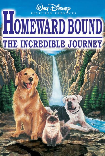 Affiche Poster incroyable voyage homeward bound incredible journey disney