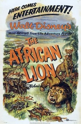 Lions d&rsquo;Afrique.