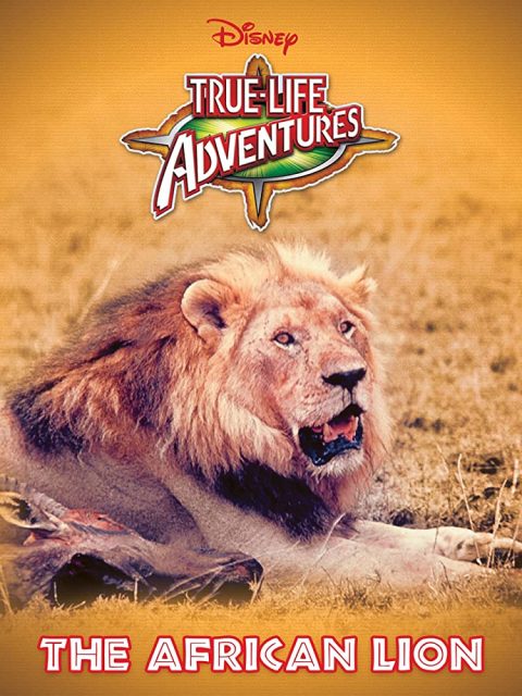 affiche poster african lion afrique disney true life