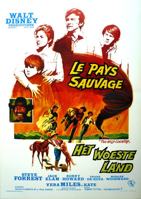 Le pays sauvage - Streaming. 1 Affiche Poster pays sauvage wild country disney
