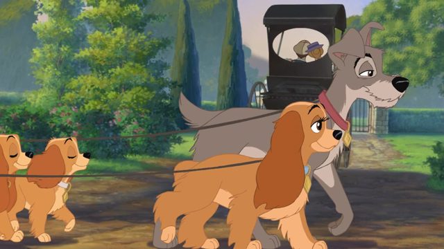 La Belle et le Clochard 2 : l'appel de la rue. 3 image belle clochard lady tramp 2 appel rue scamp adventure disney