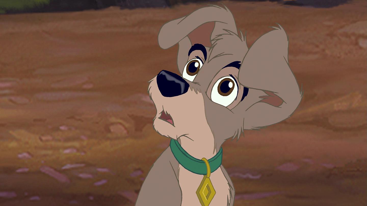 image belle clochard lady tramp 2 appel rue scamp adventure disney
