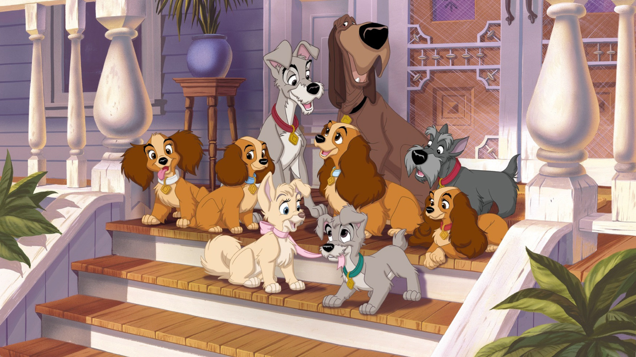 image belle clochard lady tramp 2 appel rue scamp adventure disney