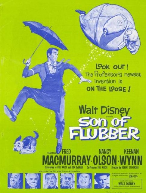 Affiche poster après lui déluge son flubber disney