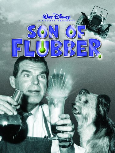 Affiche poster après lui déluge son flubber disney