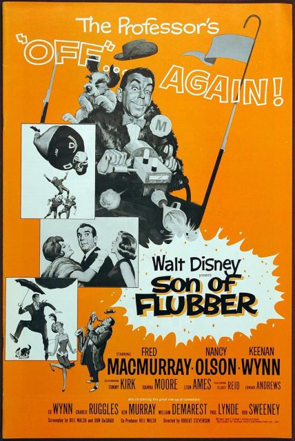 Affiche poster après lui déluge son flubber disney