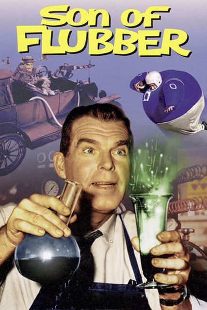 Affiche poster après lui déluge son flubber disney