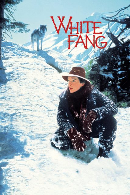 Affiche Poster croc blanc white fang disney