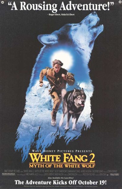 Affiche Poster croc blanc 2 mythe loup blanc White Fang 2 Myth White Wolf disney