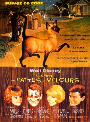 L&rsquo;espion aux pattes de velours.