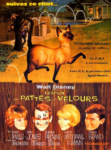 L'espion aux pattes de velours. 1 Affiche Poster espion pattes velours darn cat disney