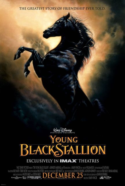 La légende de l'étalon noir - Photos et affiches. 2 Affiche Poster légende étalon noir young black stallion disney