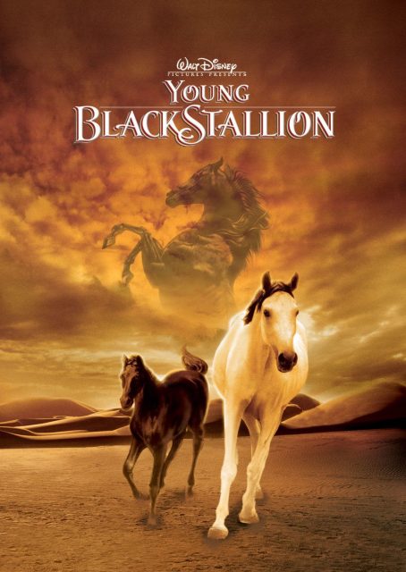 La légende de l'étalon noir - Photos et affiches. 3 Affiche Poster légende étalon noir young black stallion disney
