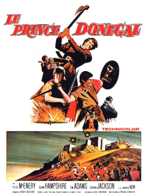 Le Prince Donégal - Streaming. 1 Affiche Poster prince donégal Fighting disney