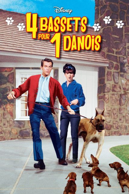 Affiche Poster quatre bassets danois Ugly Dashshund disney