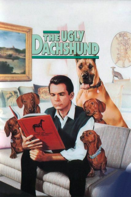 Affiche Poster quatre bassets danois Ugly Dashshund disney