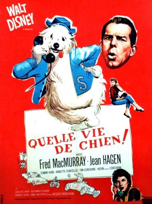 Quelle vie de chien !