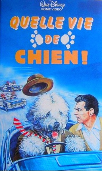 Affiche Poster quelle vie chien shaggy dog disney