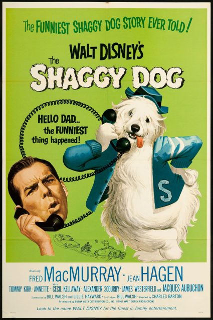 Affiche Poster quelle vie chien shaggy dog disney