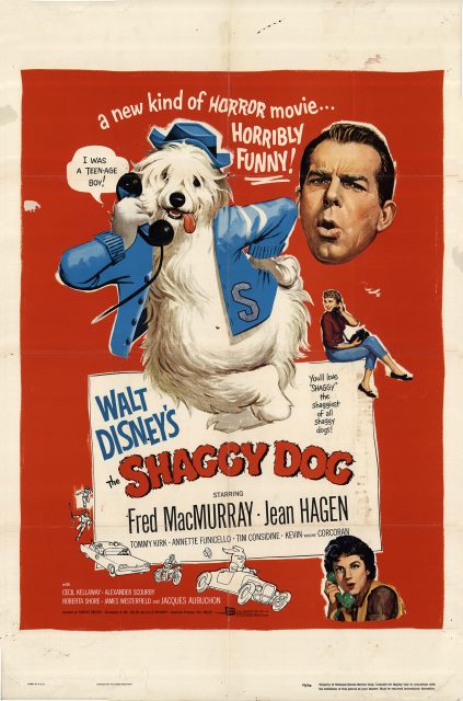 Affiche Poster quelle vie chien shaggy dog disney