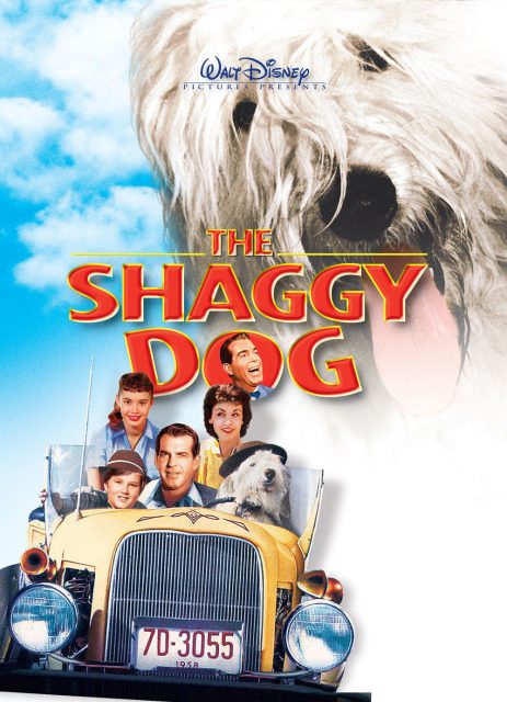 Affiche Poster quelle vie chien shaggy dog disney