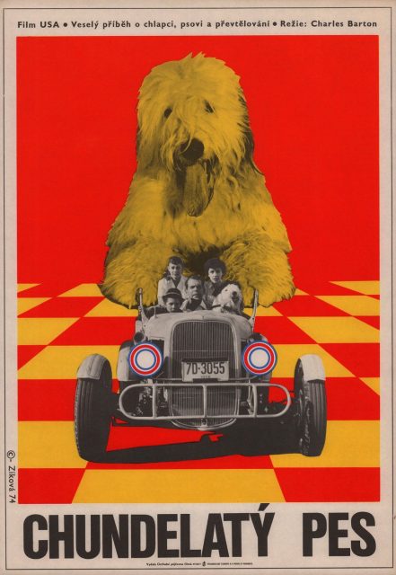 Affiche Poster quelle vie chien shaggy dog disney
