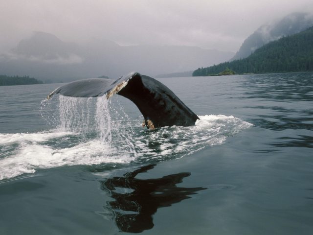 image planete sacrée planet sacred disney