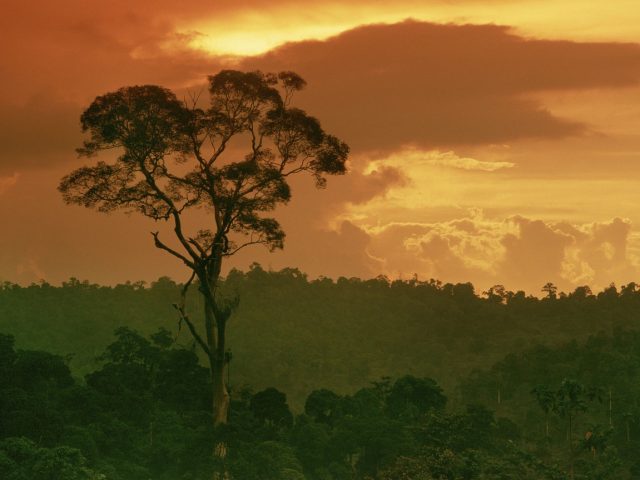 image planete sacrée planet sacred disney