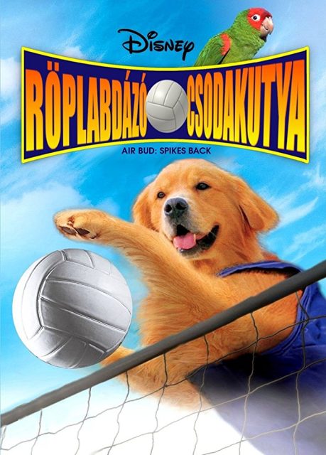 Air Bud Superstar - Photos et affiches. 3 Affiche Poster air bud superstar Spikes Back disney