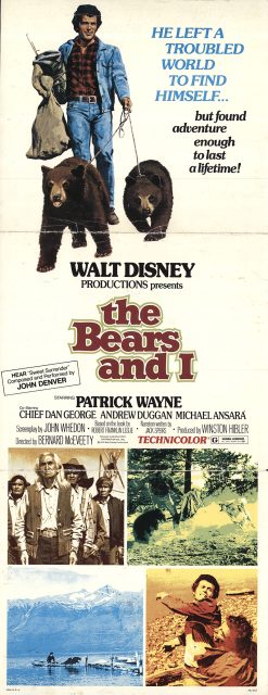 Affiche Poster amis ours bears disney